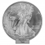 American Silver Eagle 1 Ounce Coin Random Year
